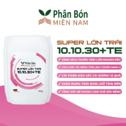 SUPER LỚN TRÁI 10.10.30+TE (20KG)