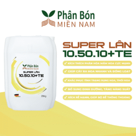 SUPER LÂN 10.50.10+TE (20KG)
