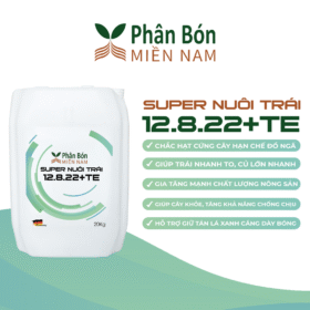 SUPER LỚN TRÁI 12.8.22+TE (20KG)