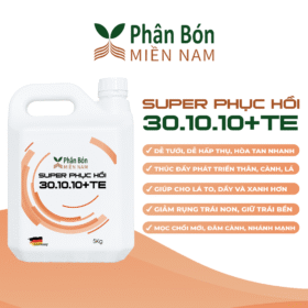 SUPER PHỤC HỒI 30.10.10+TE (5KG)