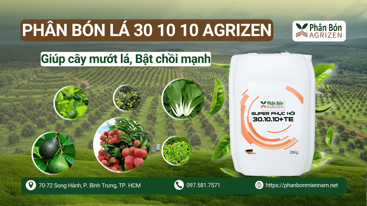 Phân Bón Lá 30-10-10 Agrizen – Giúp Cây Mướt Lá, Bật Chồi Mạnh