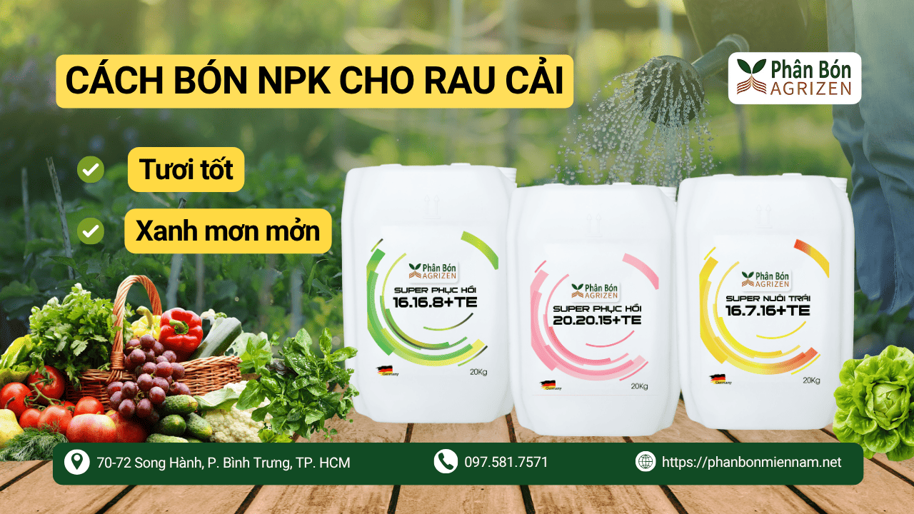 Agrizen Mách Bà Con Cách Bón NPK Cho Rau Cải Tươi Tốt, Xanh Rờn