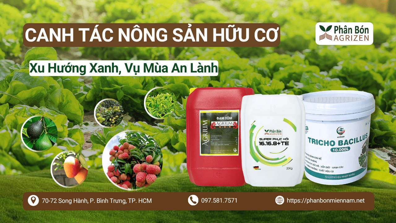 Canh Tác Nông Sản Hữu Cơ – Xu Hướng Xanh, Vụ Mùa An Lành Cùng Agrizen