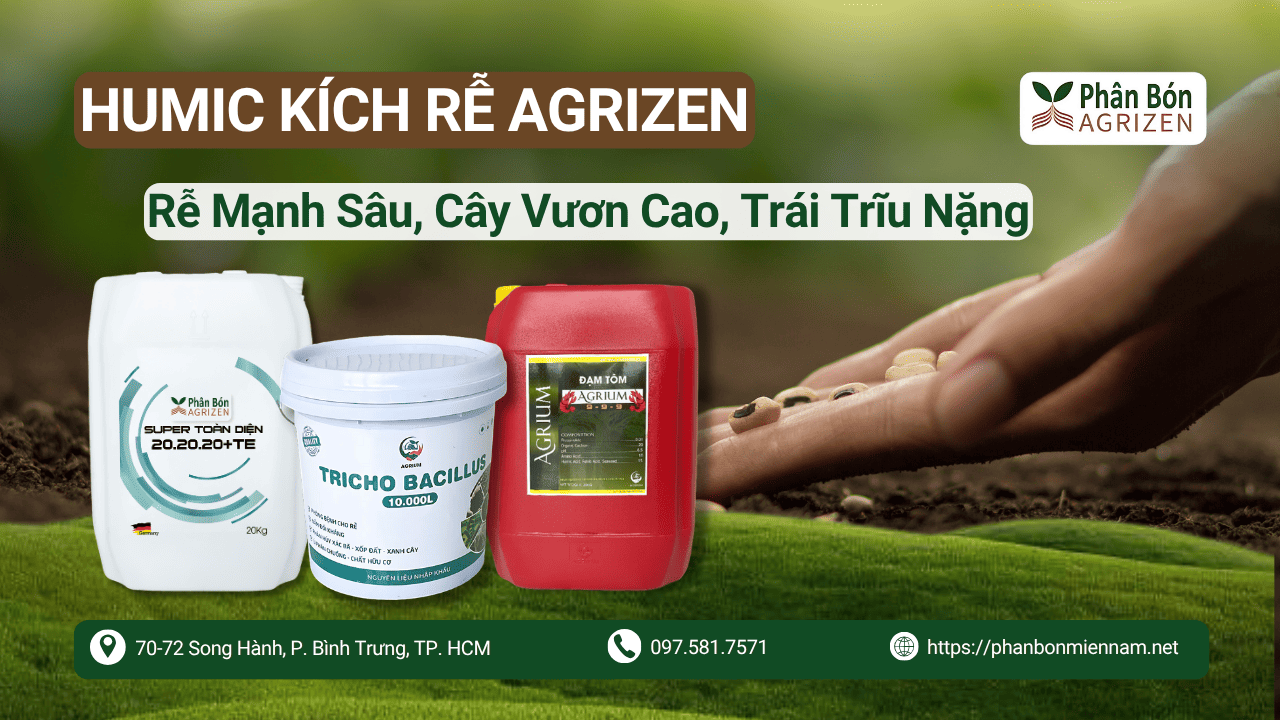 Humic Kích Rễ Agrizen – Rễ Mạnh Sâu, Cây Vươn Cao, Trái Trĩu Nặng