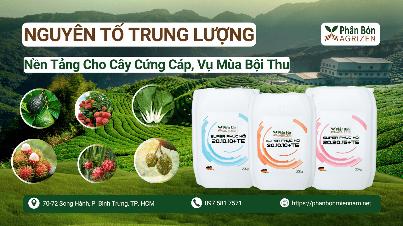 Nguyên Tố Trung Lượng – Nền Tảng Cho Cây Cứng Cáp, Vụ Mùa Bội Thu
