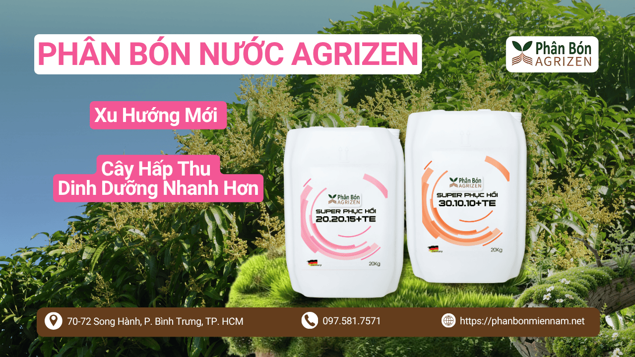 Phân Bón Nước Agrizen – Xu Hướng Mới Giúp Cây Hấp Thu Dinh Dưỡng Nhanh Hơn