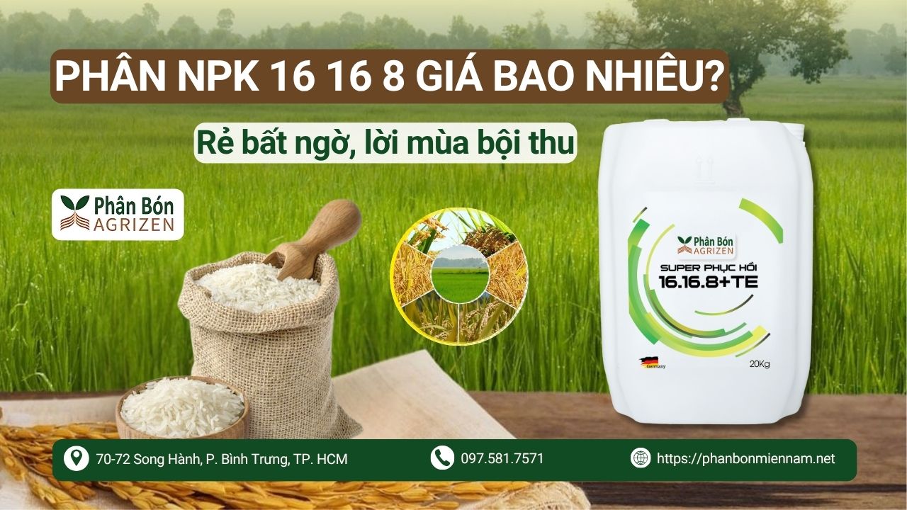 Phân NPK 16-16-8 Agrizen giá bao nhiêu Rẻ bất ngờ, lời mùa bội thu