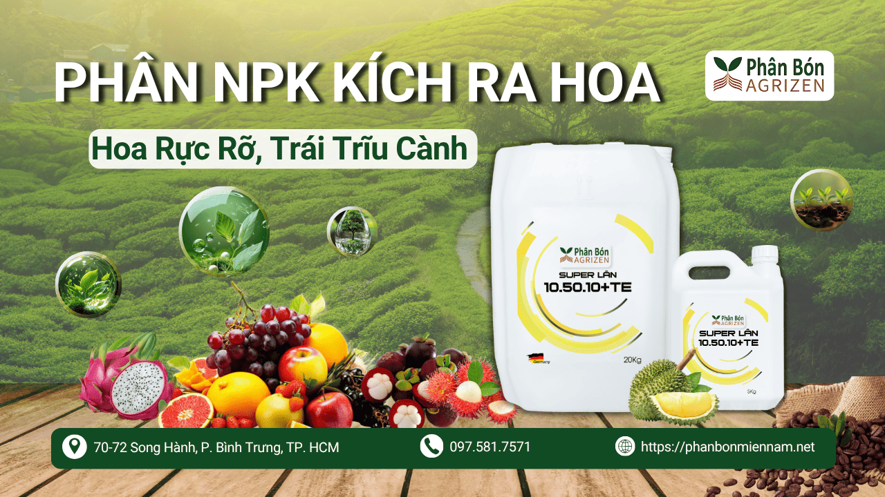 Phân NPK Kích Ra Hoa Agrizen – Hoa Rực Rỡ, Trái Trĩu Cành